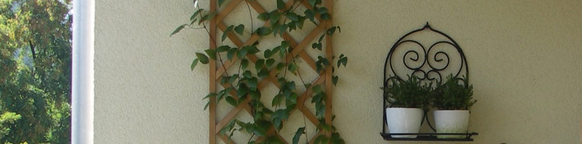 Wohnung in Liesing zu vermieten